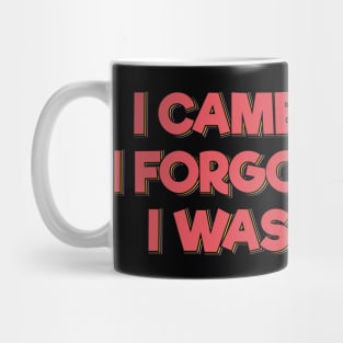 I Came I Saw I Forgot What I Was Doing Mug